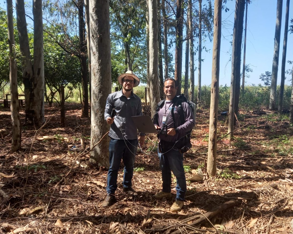 Pesquisa inédita revela que expansão de eucalipto pode ajudar MS alcançar a meta carbono neutro 2030