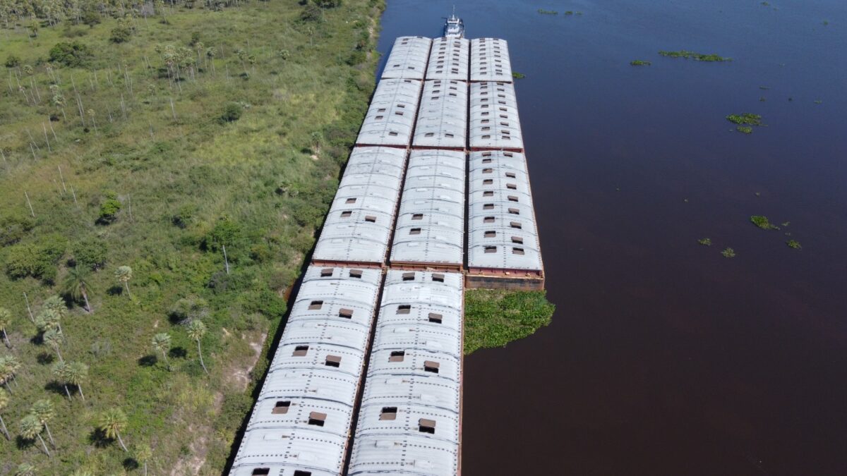 Exportações de MS chegam a US$ 7,23 bilhões até agosto de 2023, crescimento de 28,9% Exportações de MS chegam a US$ 7,23 bilhões até agosto de 2023, crescimento de 28,9%