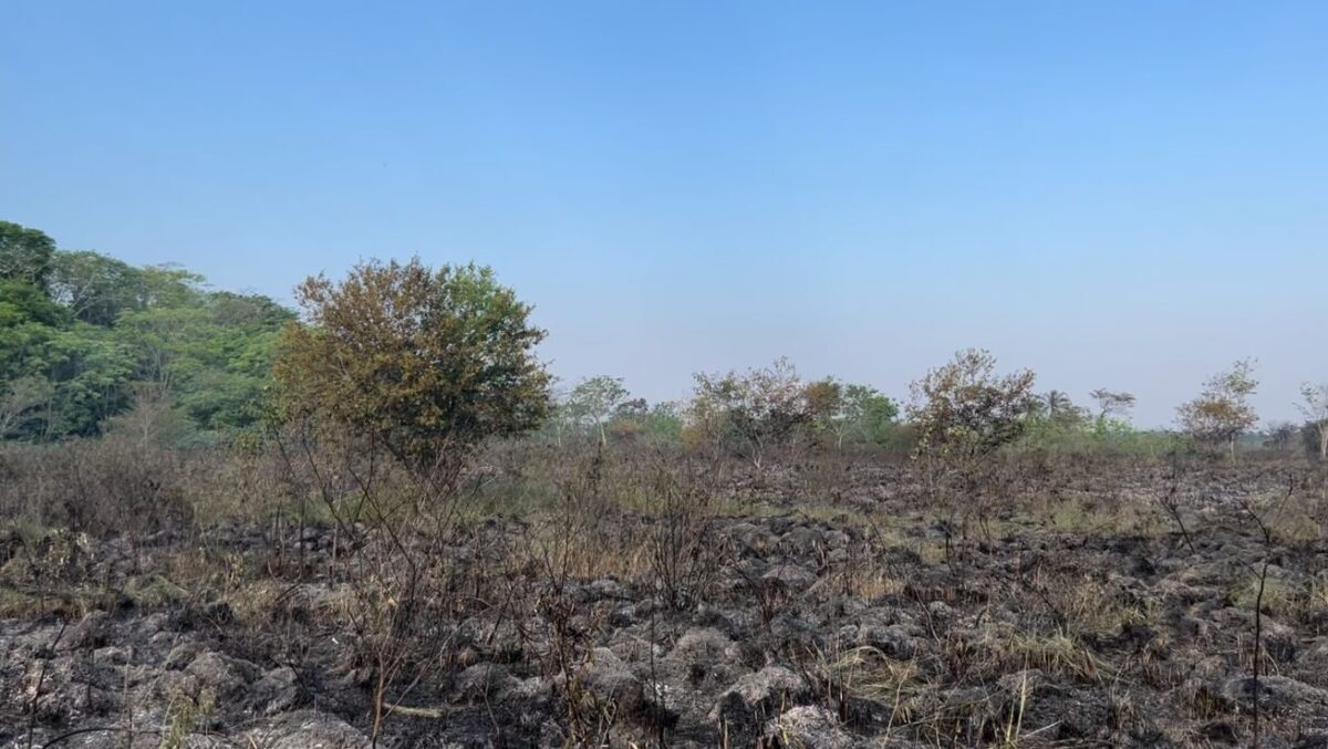 Com monitoramento em Bonito, Bombeiros atuam em outras três áreas do Pantanal