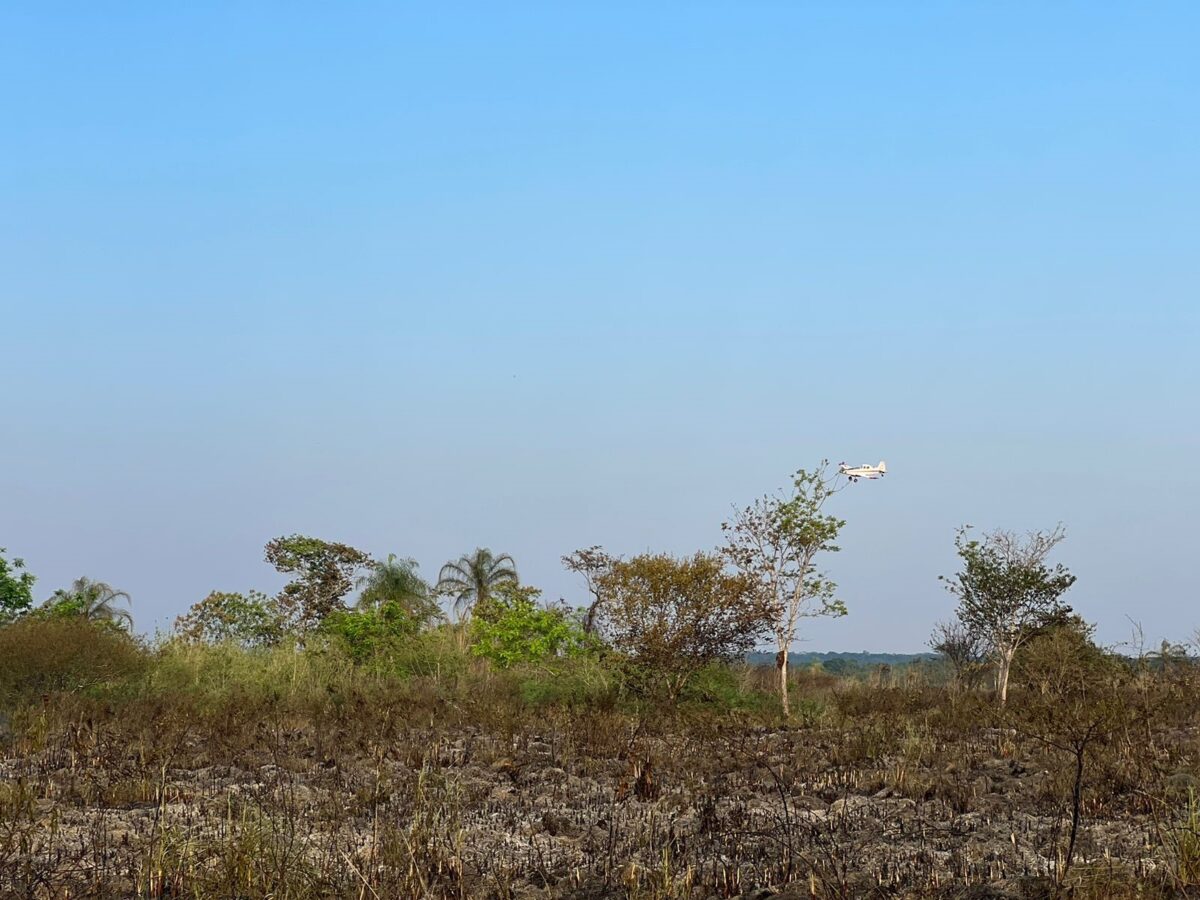 Com monitoramento em Bonito, Bombeiros atuam em outras três áreas do Pantanal