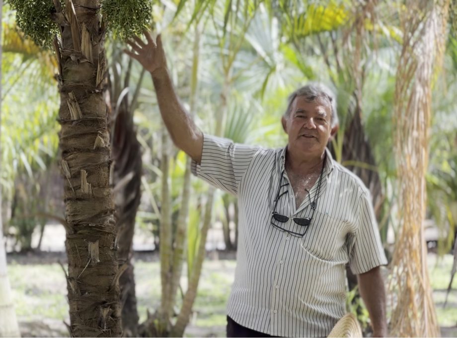 “É tanto tempo que parece que as plantas fazem parte da gente”, diz servidor há 20 anos do Viveiro Municipal