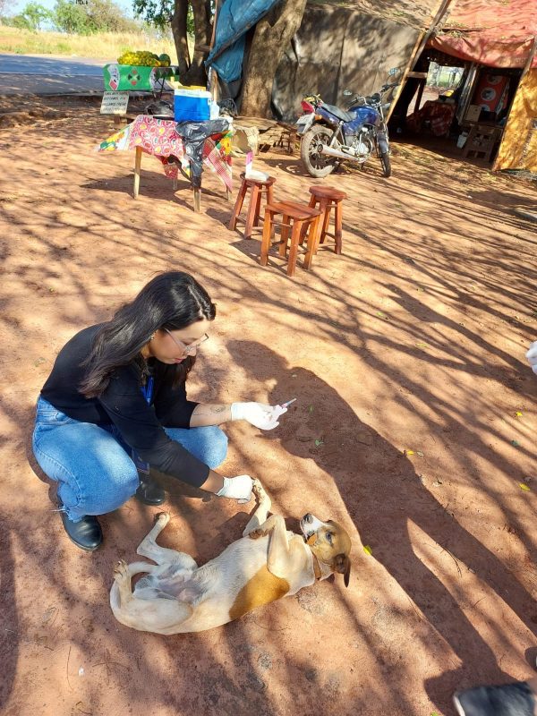 Multivacinação Rural 2023 atendeu 165 pessoas e 462 animais, em oito dias de Campanha