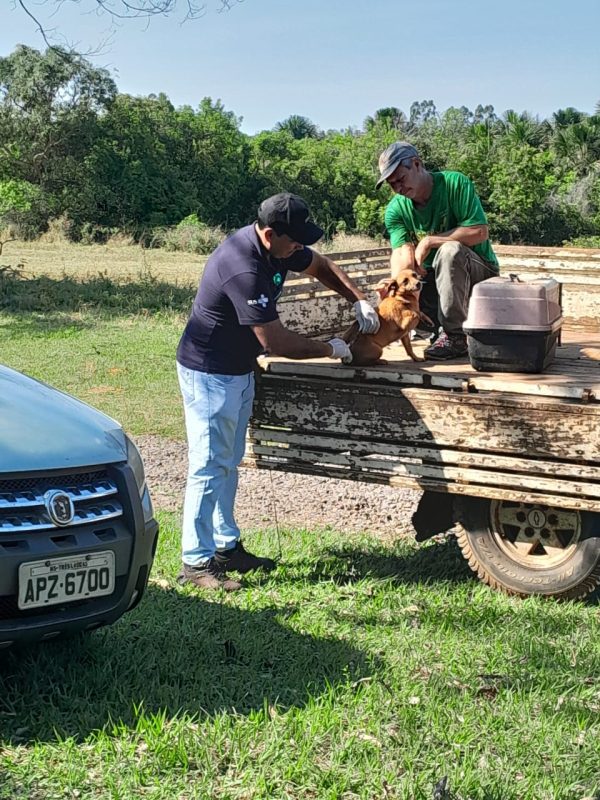 Multivacinação Rural 2023 atendeu 165 pessoas e 462 animais, em oito dias de Campanha