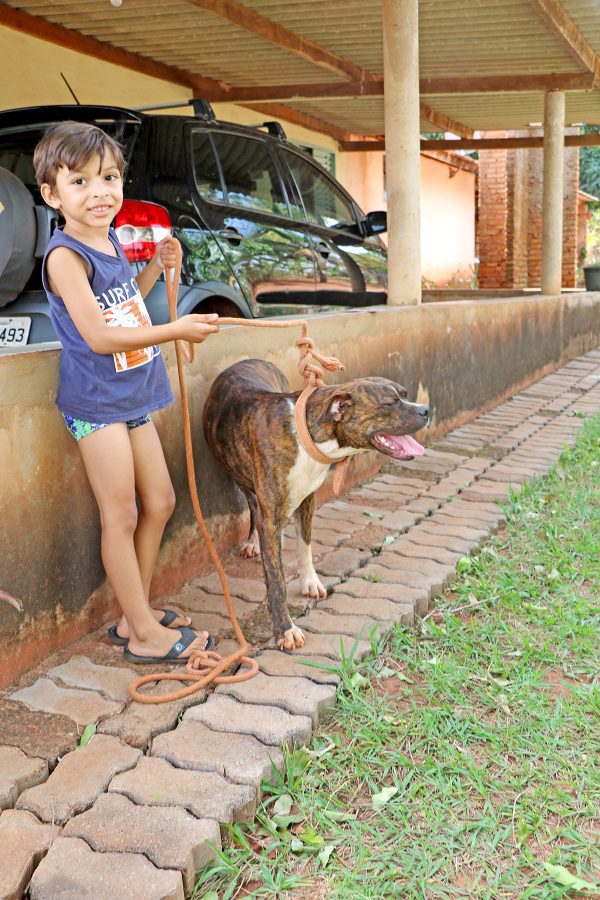 Multivacinação Rural 2023 atendeu 165 pessoas e 462 animais, em oito dias de Campanha