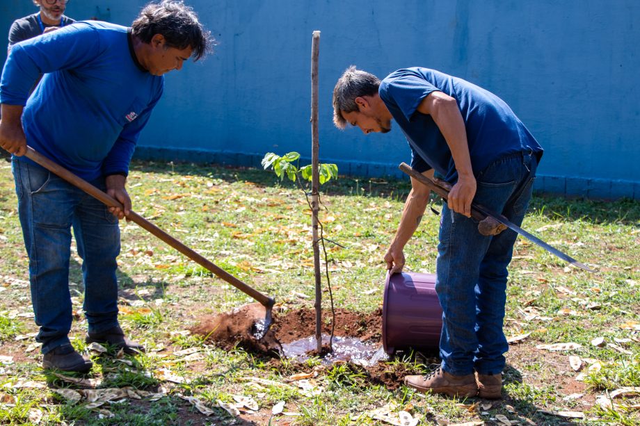 Meio Ambiente inicia agenda em alusão ao Dia da Árvore. Veja programação