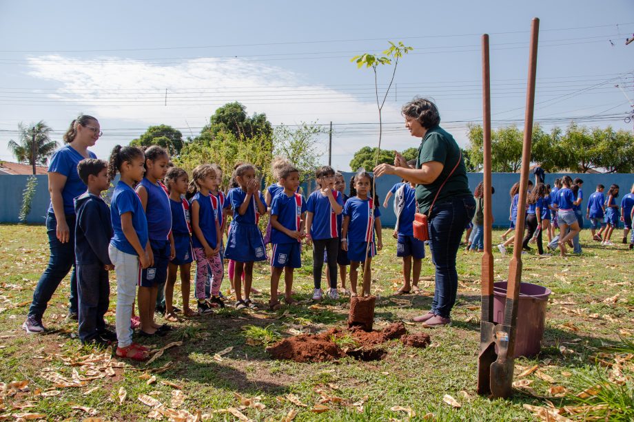 Meio Ambiente inicia agenda em alusão ao Dia da Árvore. Veja programação