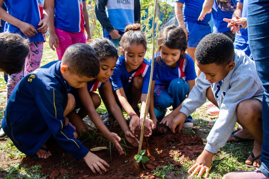 Meio Ambiente inicia agenda em alusão ao Dia da Árvore. Veja programação