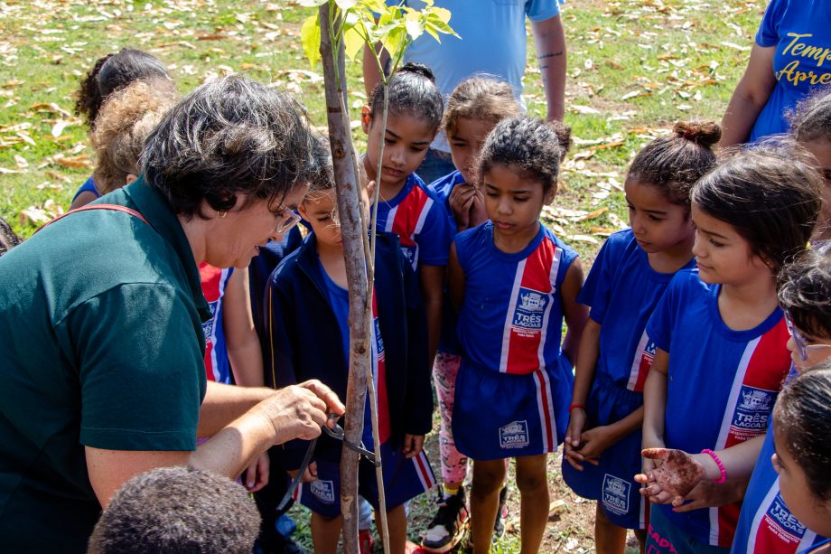 Meio Ambiente inicia agenda em alusão ao Dia da Árvore. Veja programação