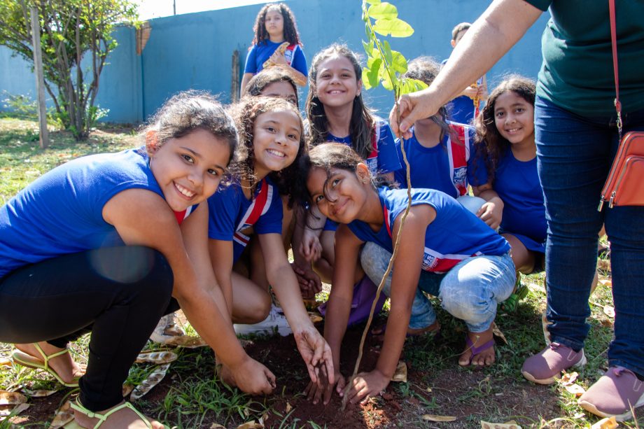 Meio Ambiente inicia agenda em alusão ao Dia da Árvore. Veja programação