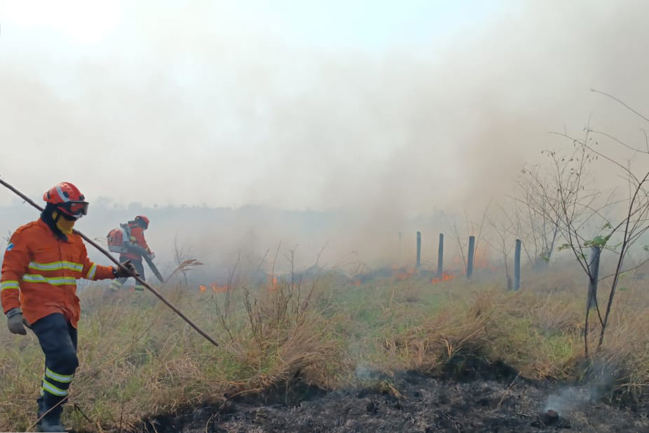Com monitoramento integral, Bombeiros de MS atuam no combate a três incêndios florestais no Pantanal