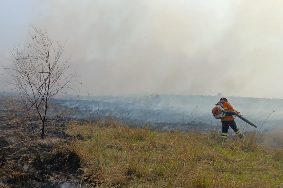 Com monitoramento integral, Bombeiros de MS atuam no combate a três incêndios florestais no Pantanal
