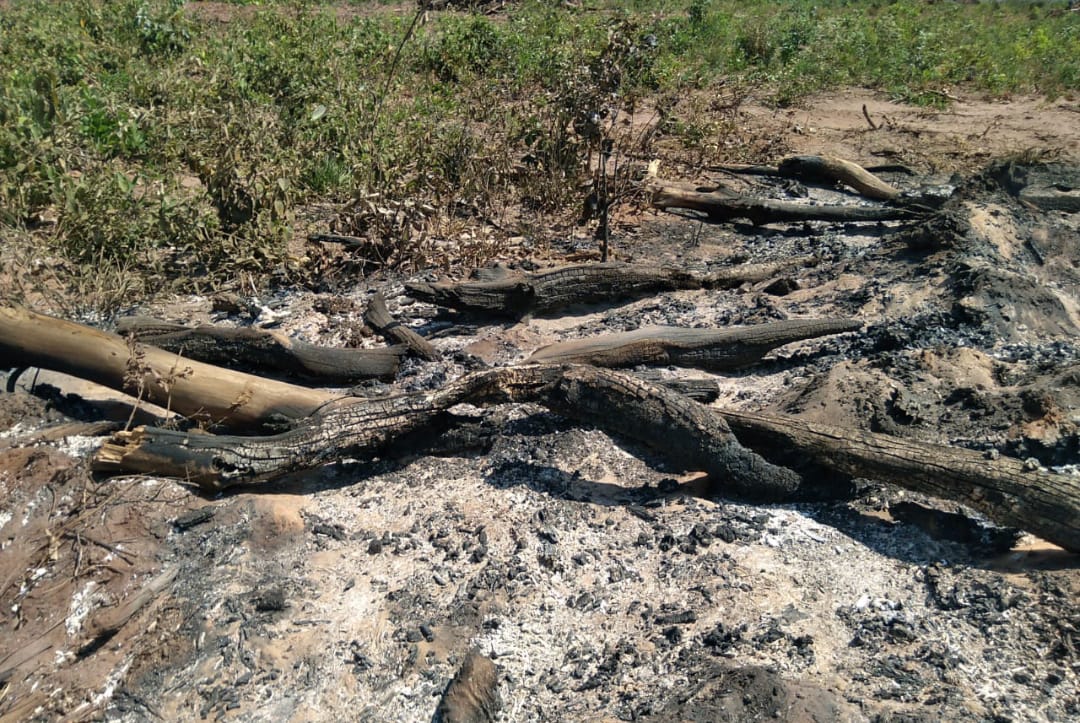 PMA de Costa Rica autua proprietário rural em R$ 19.000 por uso de fogo sem autorização ambiental