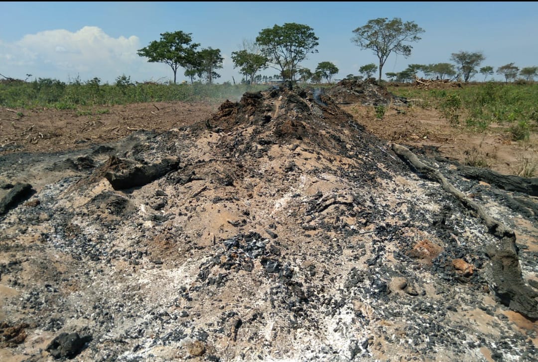 PMA de Costa Rica autua proprietário rural em R$ 19.000 por uso de fogo sem autorização ambiental
