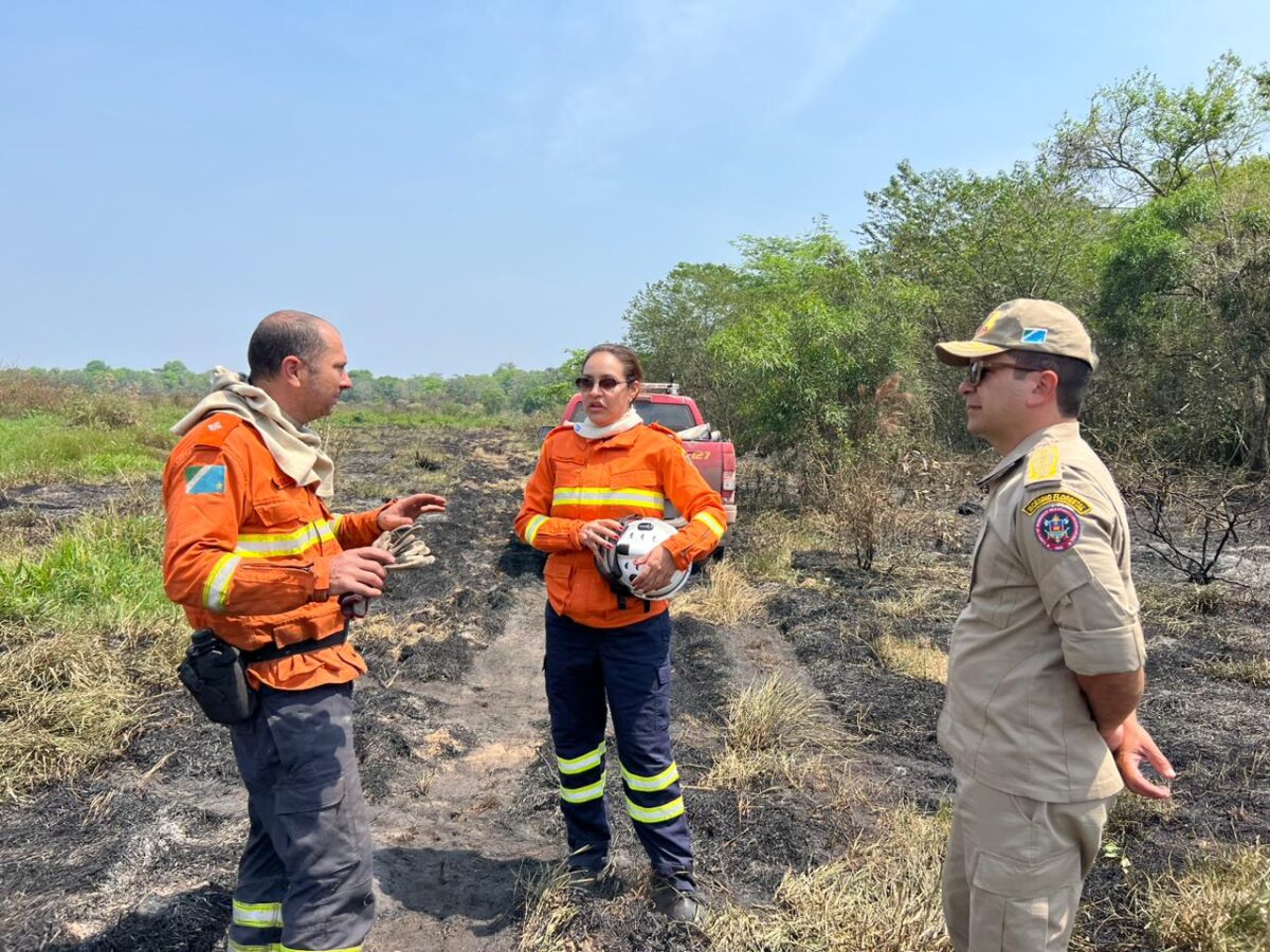 Incêndios no Pantanal são controlados após seis dias de atuação dos bombeiros