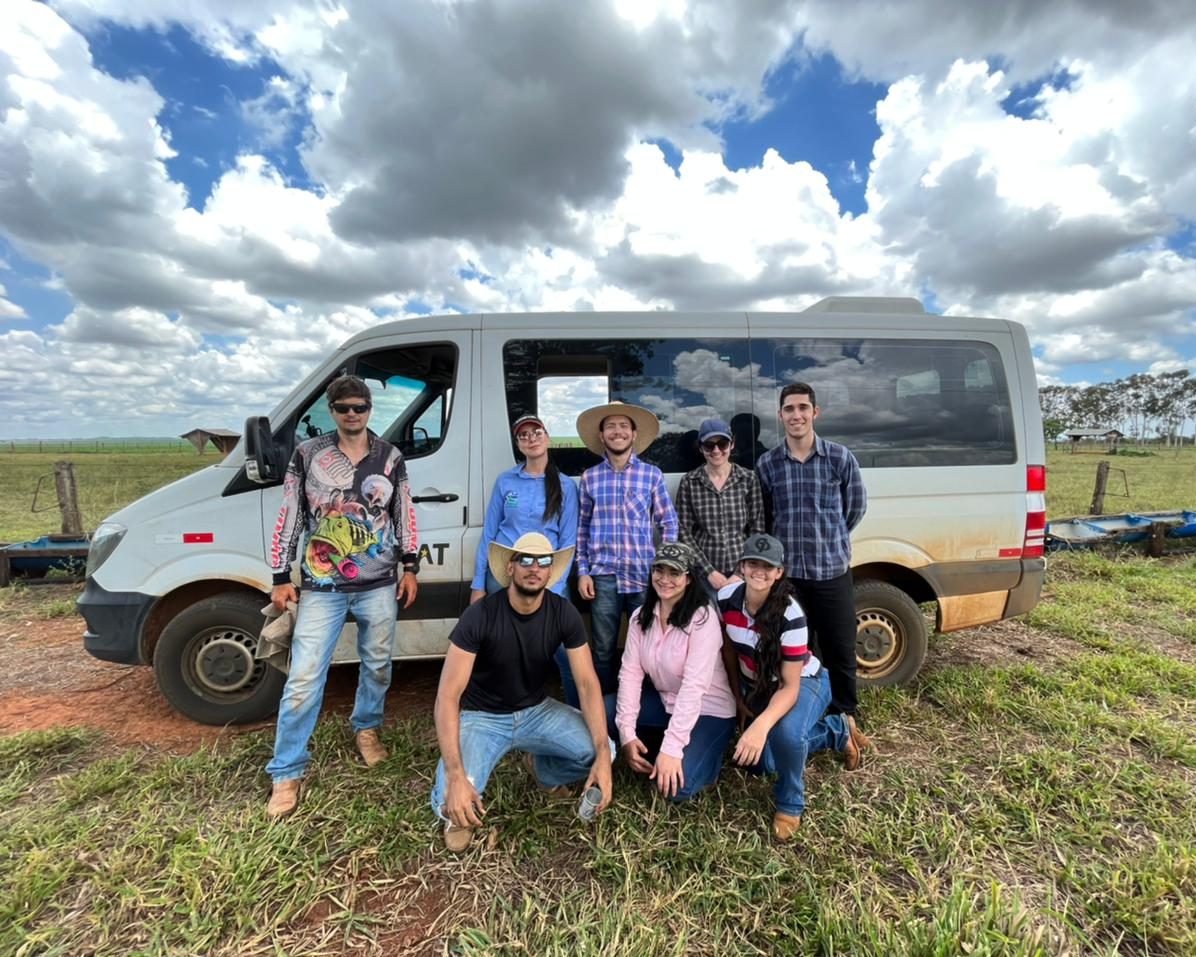 Pesquisa inédita revela que expansão de eucalipto pode ajudar MS alcançar a meta carbono neutro 2030