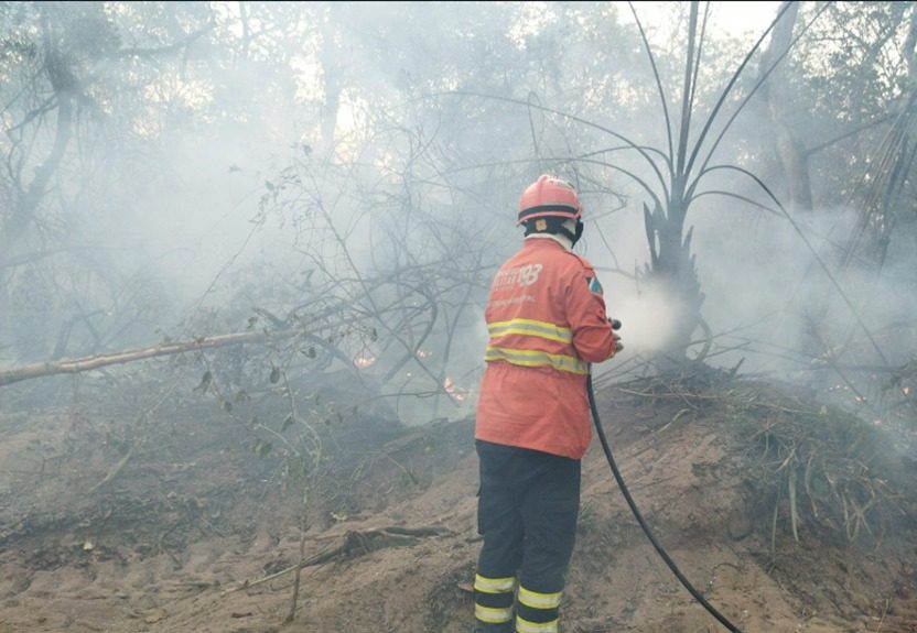 Bombeiros combatem três novos focos de incêndio no Pantanal em MS