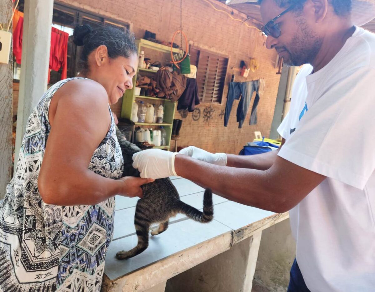 Antirrábica: Saúde de Brasilândia imuniza cães e gatos do Almanara e Pedra Bonita