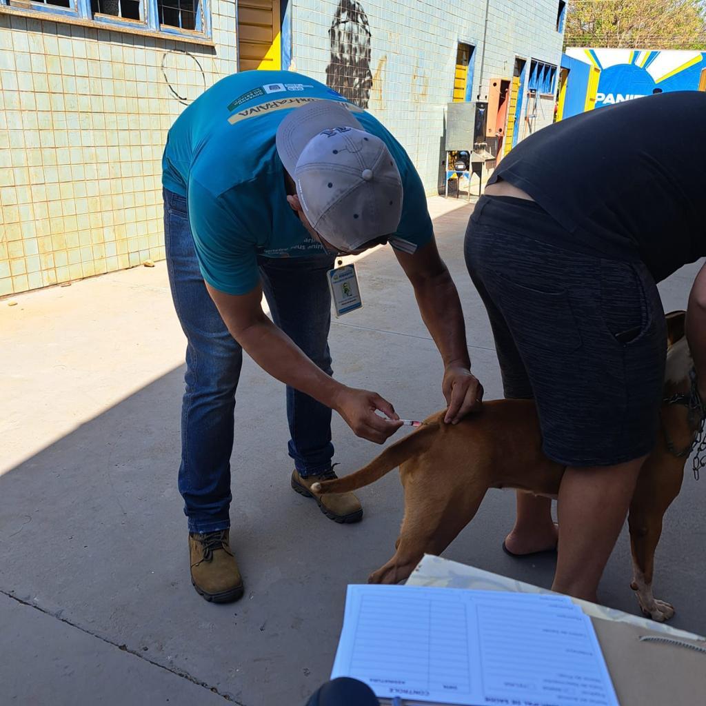 Vacinação antirrábica supera meta e atinge 98,13% dos cães e gatos em Ribas