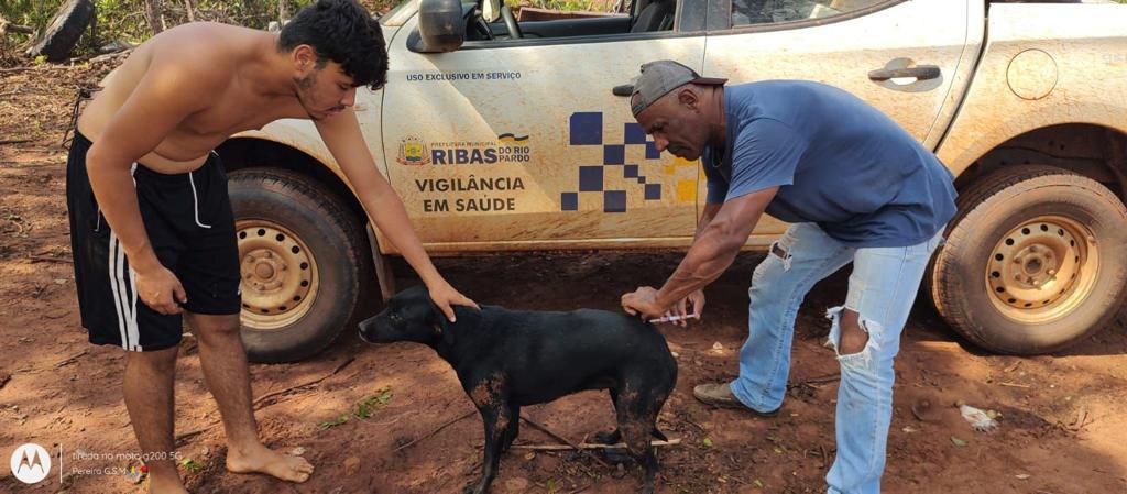 Vacinação antirrábica supera meta e atinge 98,13% dos cães e gatos em Ribas