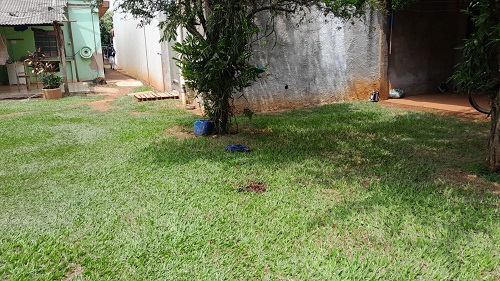 Homem encontrado morto aparentemente a facadas em Chapadão do Sul