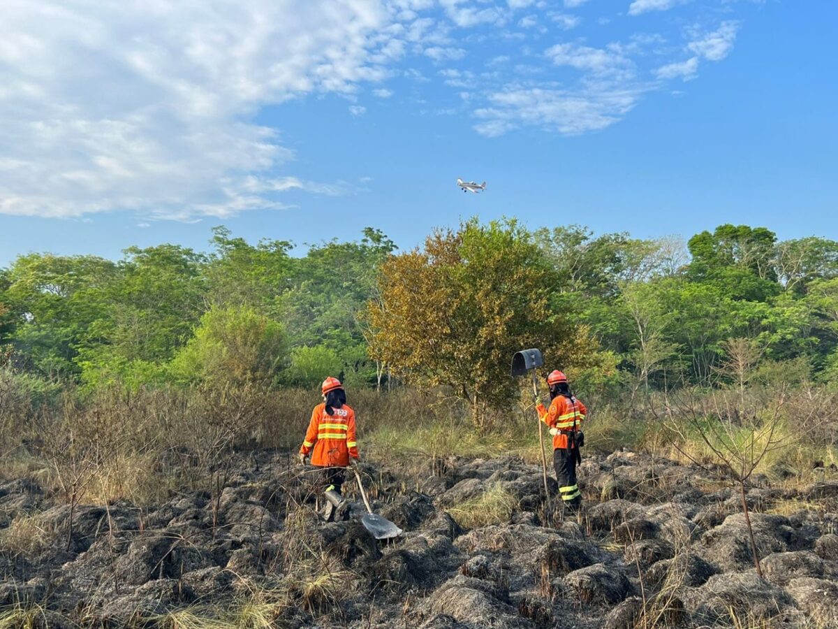 Bombeiros atuam no controle e extinção de incêndio florestal no Pantanal do Paiaguás