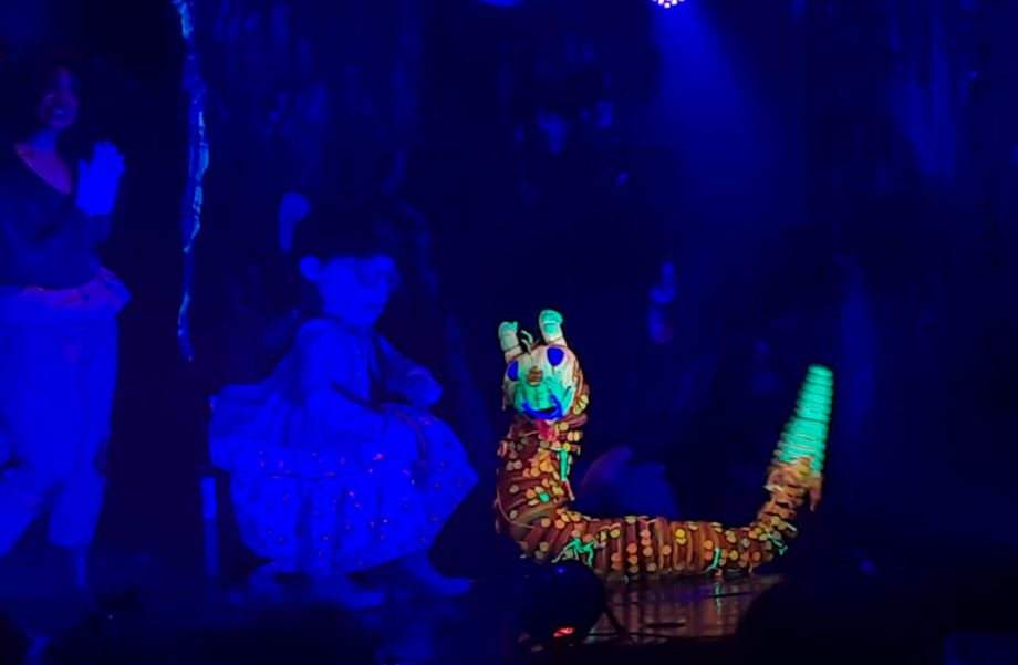 Aventura-musical de bonecos e atores “Floresta dos Mistérios” reuniu centenas de pessoas