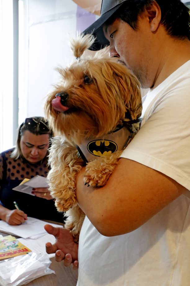 Dia D da Campanha Antirrábica 2023 imunizou 6.247 cães e gatos