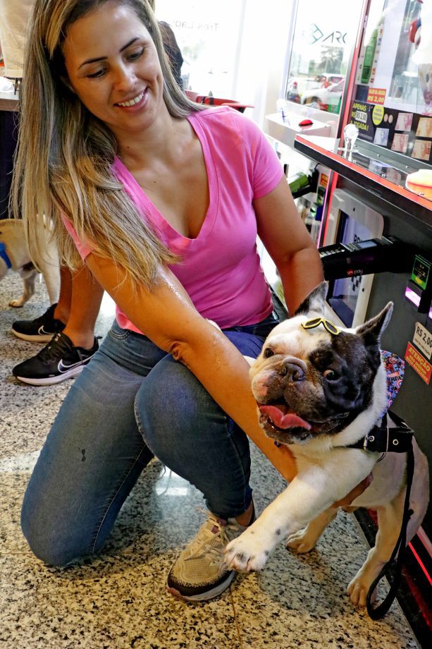 Dia D da Campanha Antirrábica 2023 imunizou 6.247 cães e gatos