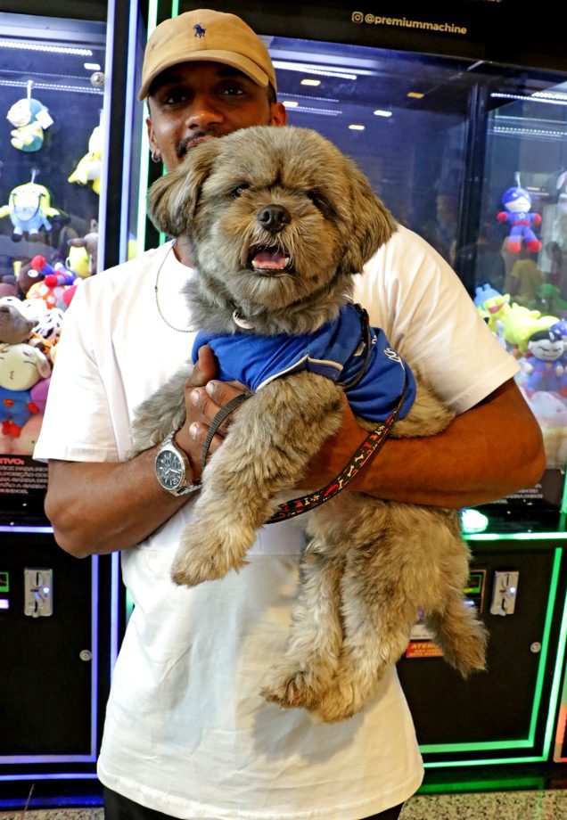 Dia D da Campanha Antirrábica 2023 imunizou 6.247 cães e gatos