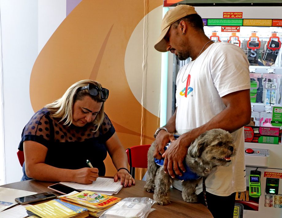 Dia D da Campanha Antirrábica 2023 imunizou 6.247 cães e gatos