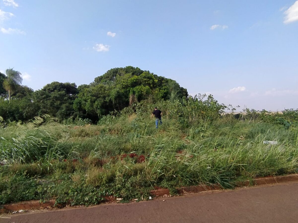 Polícia Civil prende homem que espancou animal da filha até a morte