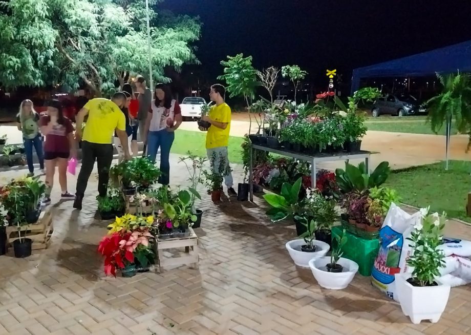 Feira dos Ipês em Três Lagoas: um novo ponto de encontro para os moradores da região