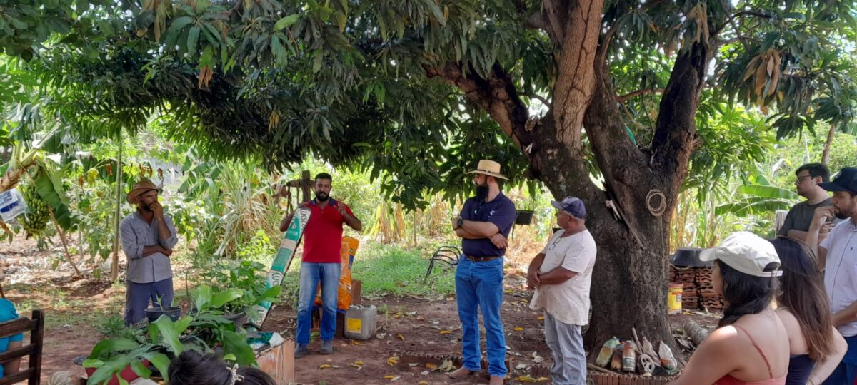 Com o apoio da Suzano, famílias do Cinturão Verde produzem 24 mil quilos de alimentos agroecológicos