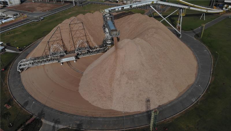 Inovação interna na Eldorado Brasil amplia produtividade industrial Inovação interna na Eldorado Brasil amplia produtividade industrial
