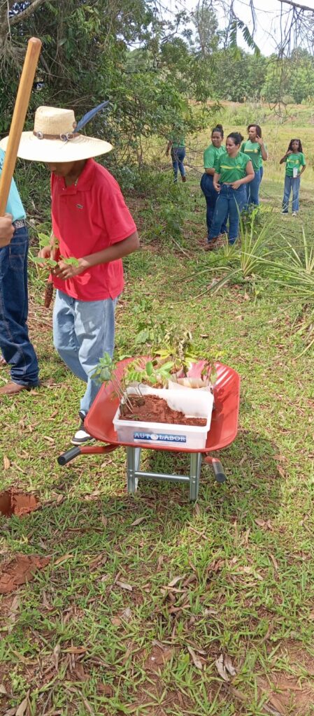 A Natureza é a Sala de Aula: O Sucesso do Projeto ARAPUÁ A Natureza é a Sala de Aula: O Sucesso do Projeto ARAPUÁ