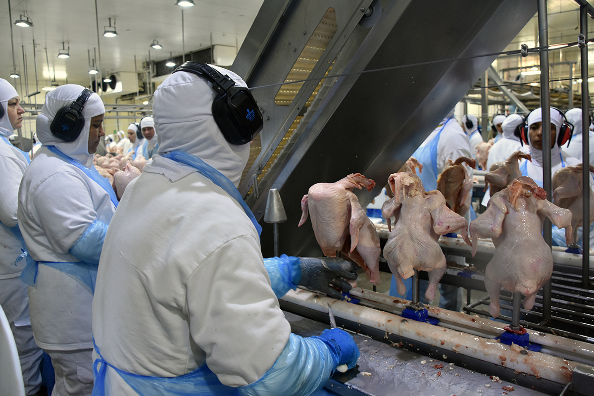 Setor industrial de MS já criou quase 11 mil novas vagas de emprego no acumulado do ano Setor industrial de MS já criou quase 11 mil novas vagas de emprego no acumulado do ano