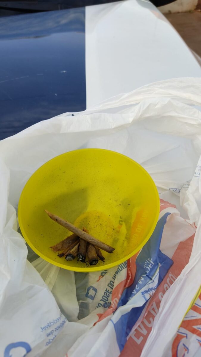 PM apreende drogas em três residências da cidade de Selvíria PM apreende drogas em três residências da cidade de Selvíria