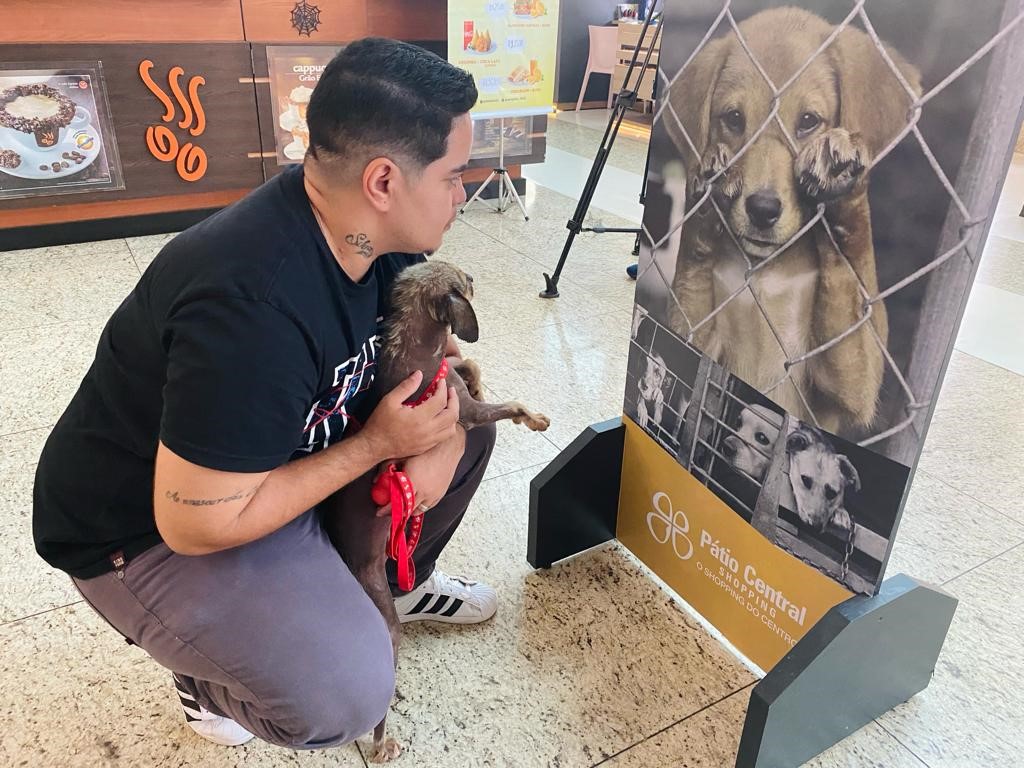 Inédito no Estado, programa MS Vida Animal lança Caravana da Castração na quarta-feira