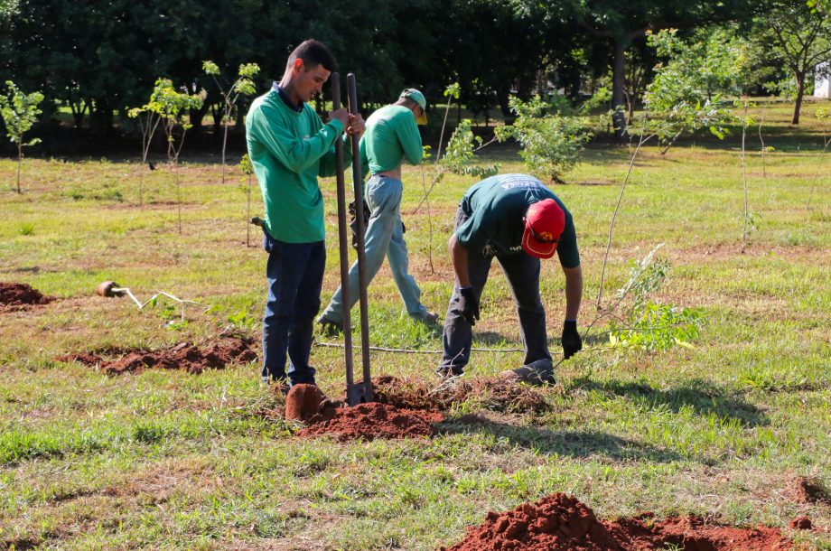 Conheça o projeto que plantará 1.000 árvores em Três Lagoas no ano de 2024 Conheça o projeto que plantará 1.000 árvores em Três Lagoas no ano de 2024
