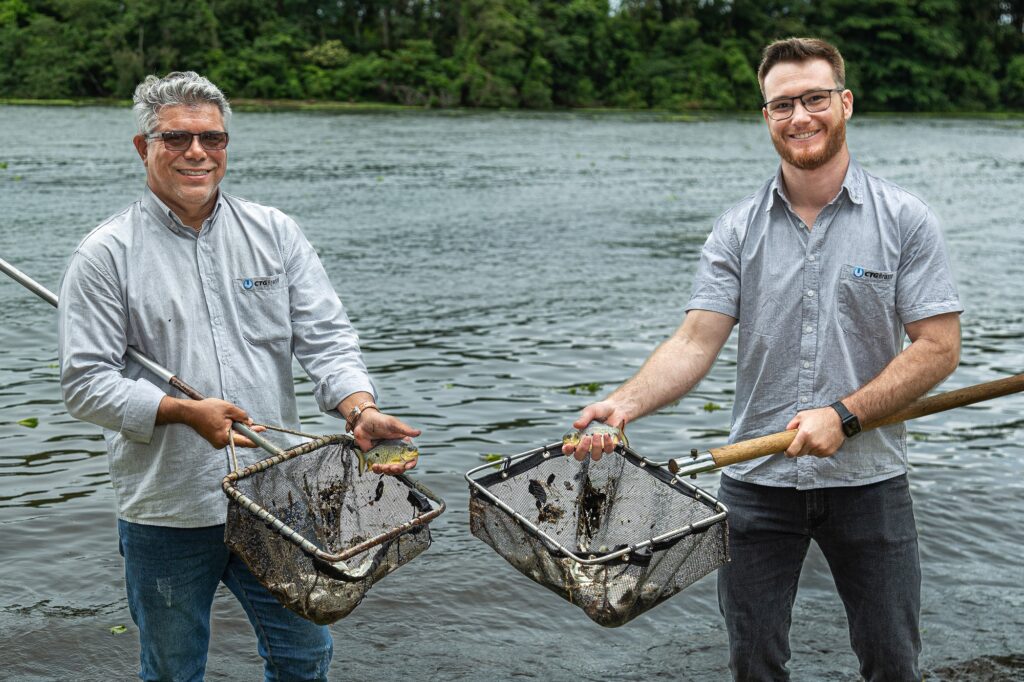 CTG Brasil vai soltar mais de 1 milhão de peixes no rio Paraná