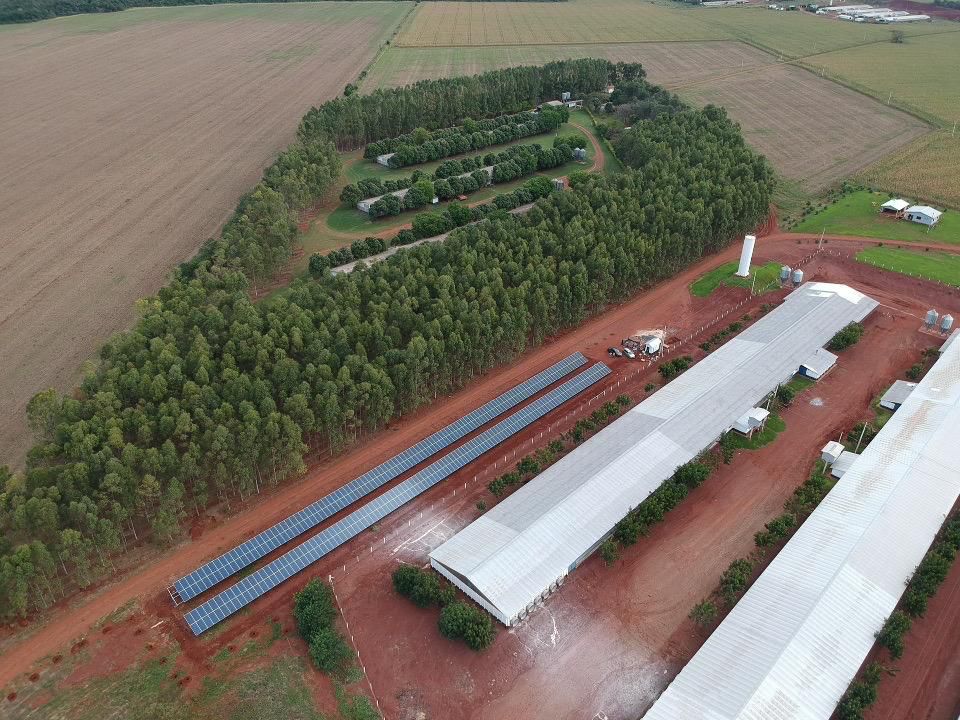 Frango Vida: incentivo a avicultura de MS garante mais de R$ 35 milhões aos produtores e ânimo ao setor Frango Vida: incentivo a avicultura de MS garante mais de R$ 35 milhões aos produtores e ânimo ao setor