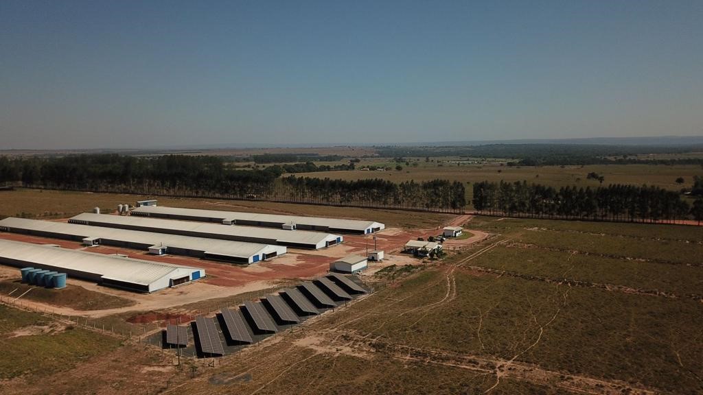 Na Seara, 55% das granjas de produtores integrados já utilizam energia solar