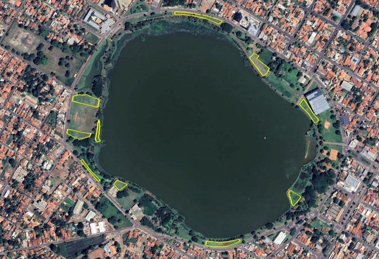 Conheça o projeto que plantará 1.000 árvores em Três Lagoas no ano de 2024 Conheça o projeto que plantará 1.000 árvores em Três Lagoas no ano de 2024