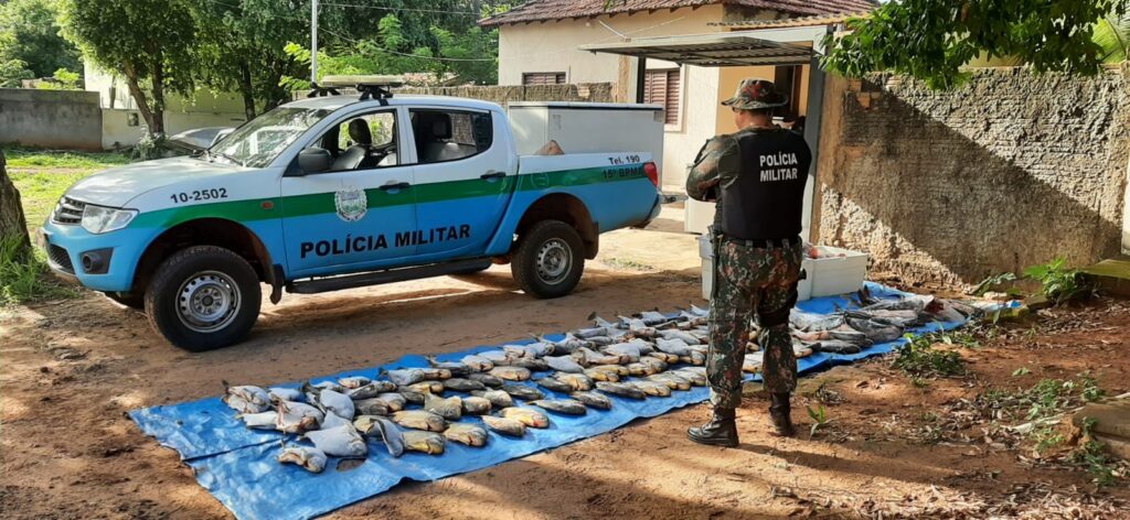 Comando de Policiamento Ambiental prioriza Educação e reduz crimes ambientais em 2023 Comando de Policiamento Ambiental prioriza Educação e reduz crimes ambientais em 2023