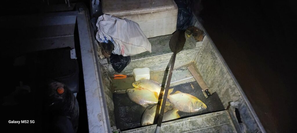 Operação Piracema: Ações intensificadas e resultados significativos contra a pesca predatória Operação Piracema: Ações intensificadas e resultados significativos contra a pesca predatória