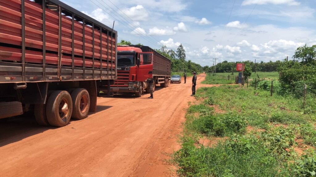 Comando de Policiamento Ambiental prioriza Educação e reduz crimes ambientais em 2023 Comando de Policiamento Ambiental prioriza Educação e reduz crimes ambientais em 2023