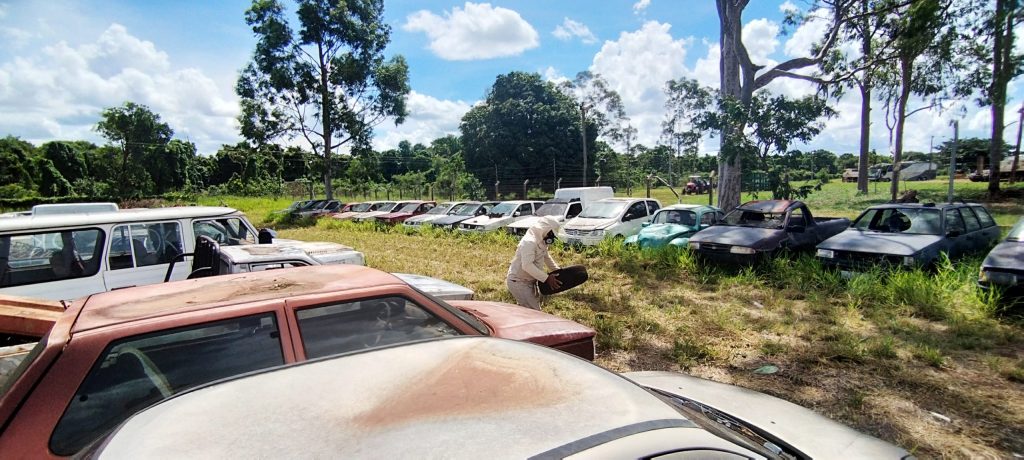 Crianças e servidores do Detran-MS intensificam ações de combate ao mosquito da dengue