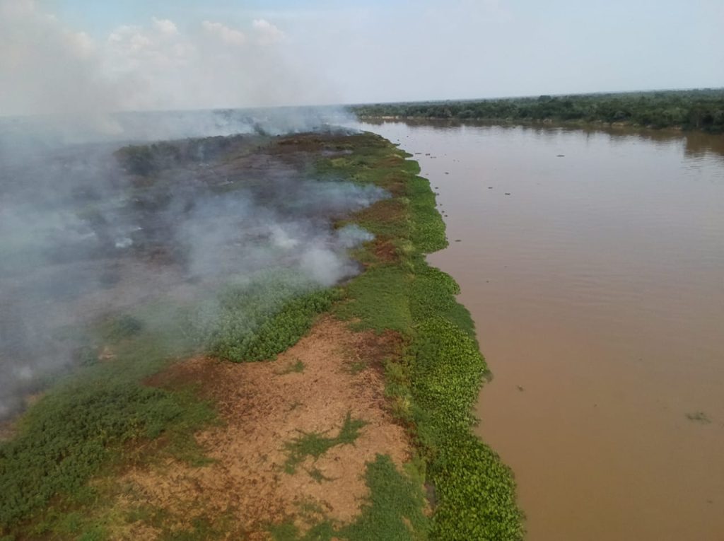 Com aeronaves e equipes em solo, bombeiros de MS atuam para controlar incêndio no Pantanal