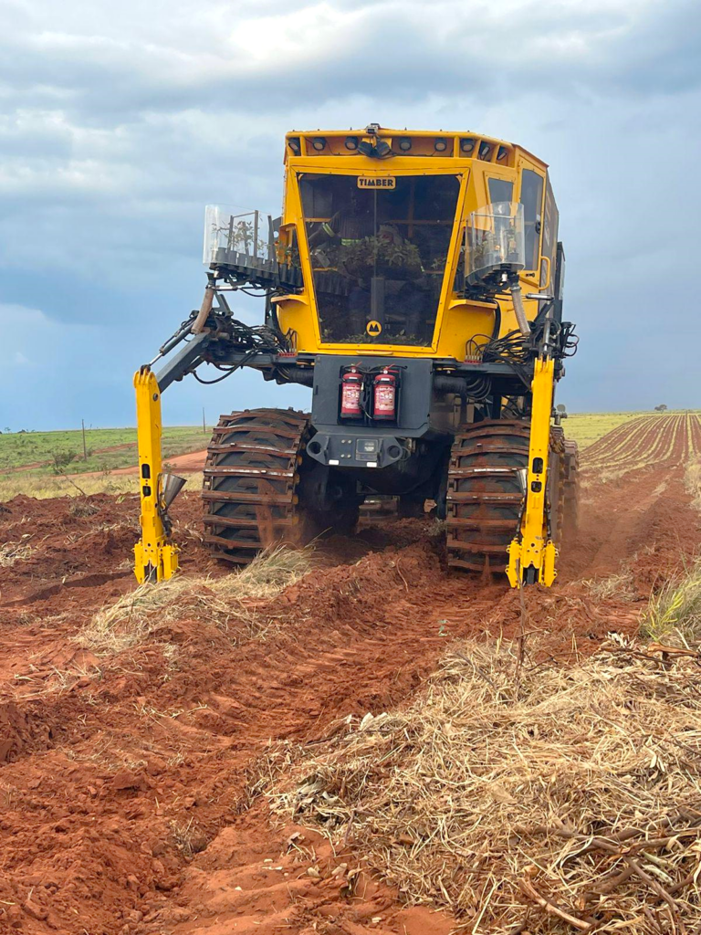 Arauco adota plantio mecanizado para aumentar eficiência e produtividade em sua operação florestal