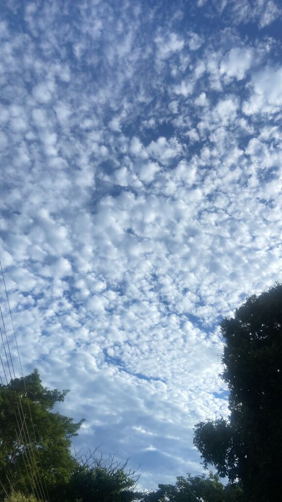 Com aquecimento acentuado durante o dia, calor e tempo seco permanecem nesta terça